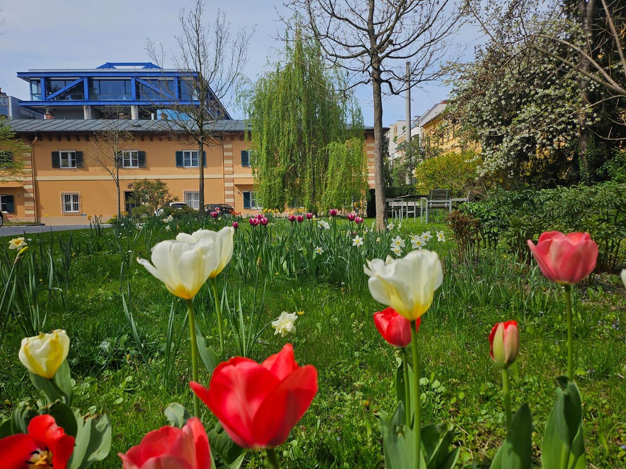 Yellow Flat By Grazrentals With Best Location & Free Parking Kültér fotó
