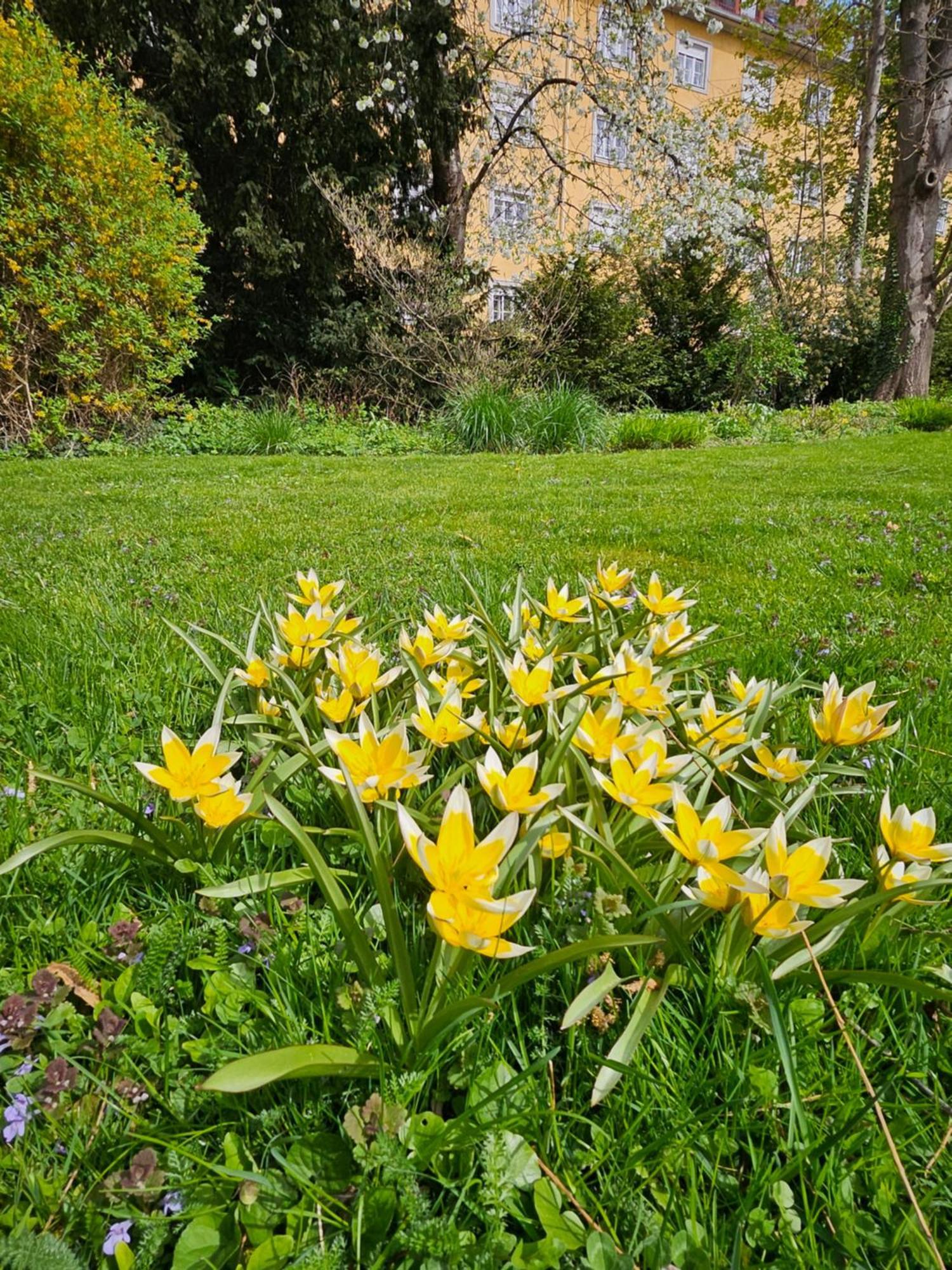Yellow Flat By Grazrentals With Best Location & Free Parking Kültér fotó